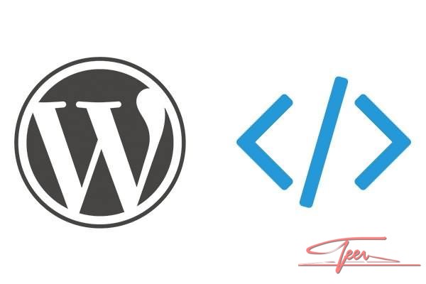 WordPress绑定多个域名和禁止搜索引擎收录非主域名的方法